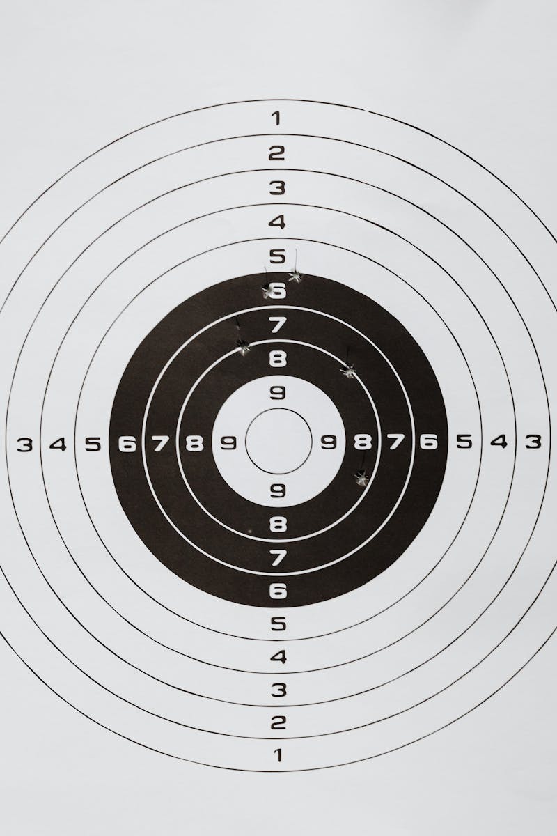Detailed image of a shooting range paper target showing multiple rings and numbers.