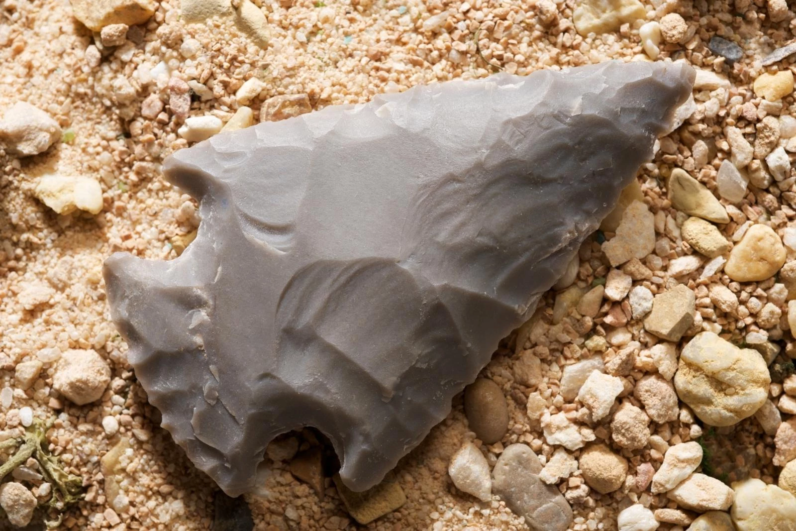 5 Incredible Find in Colorado attachment colorado arrowhead canva pro