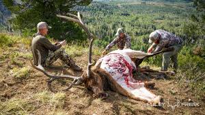 A Simple Roll of Saran Wrap Became His Lifeline After a Backcountry Elk Hunting Accident download
