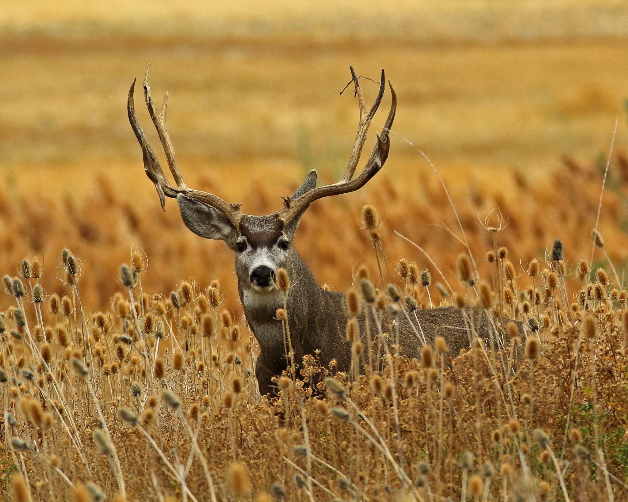 vmunuzoffcsn2xdtihsf2ikckdgnj3pxzhiavnabjx 0xvednhblwb1vcx5coy9m 1cyzhsn8cj9fjkbjlai55lmylzlnnqyifyhpgxjv2i