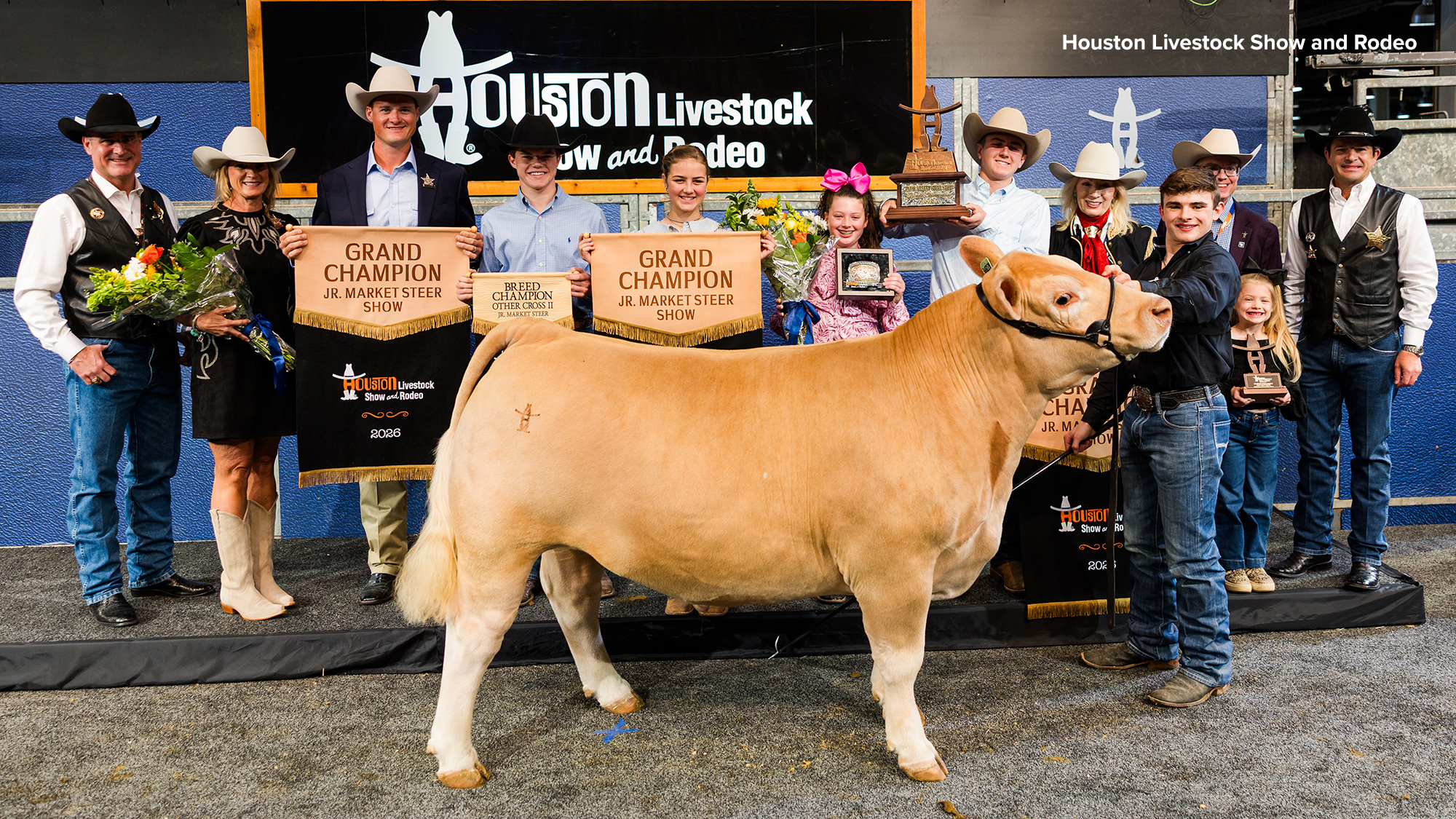 Grand Champion Steer Sells for Record $1.5 Million at 2026 Houston Livestock Show and Rodeo 18747265 grand champion steer 2026 hlsr with credit img