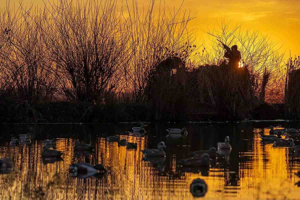 Illinois Duck Hunting Club Hit With $61,000 Penalty After Baited Field Scheme 543627 gaf lead deke refresh hero 1200x800