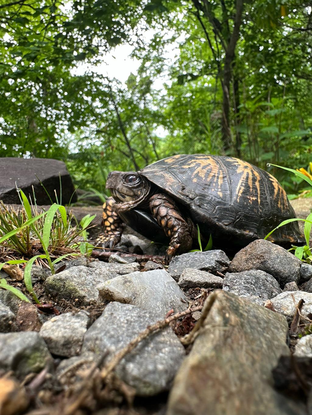 5relcmfs1m rwajzml7wcbow m0au1xkzd23 jwhi hpfbdynqx3op2if kujjvk5xwlwuagsp96nla4tgmn273cukgporkyupyozff80 i