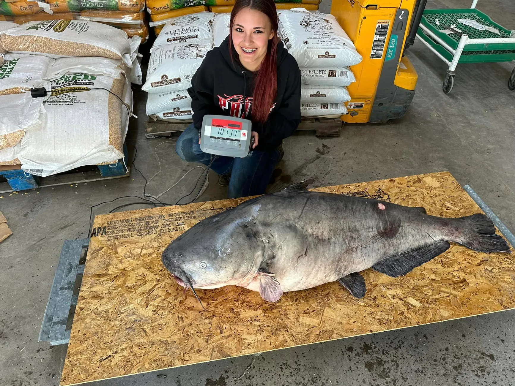 73300406007 catfish 2