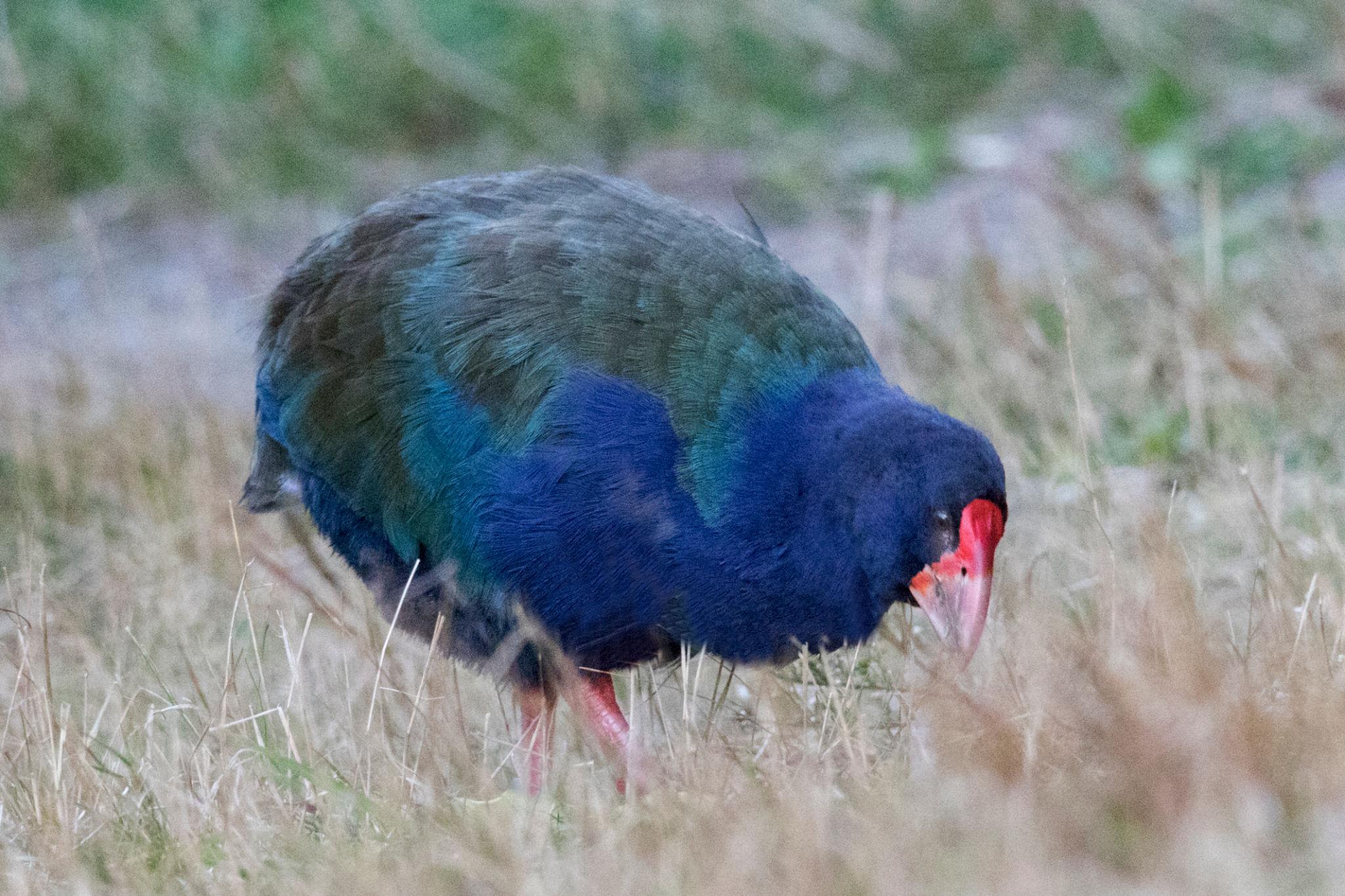 9yafxsuev0lbqab etdn6agyrme 2ytm6kjcoobfp715mx0r4vq8nyccpkzr6rax71 dky12h4oxcjw1k7sbo3 pcdtiusjdzcdanq0wi8a