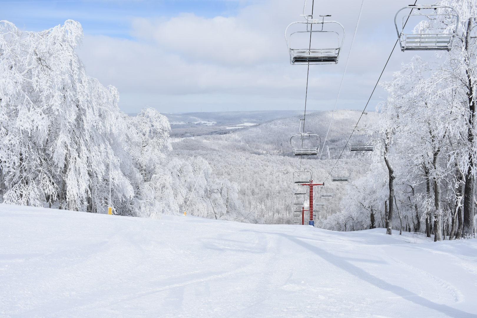 dsc 0051 8 donna himes