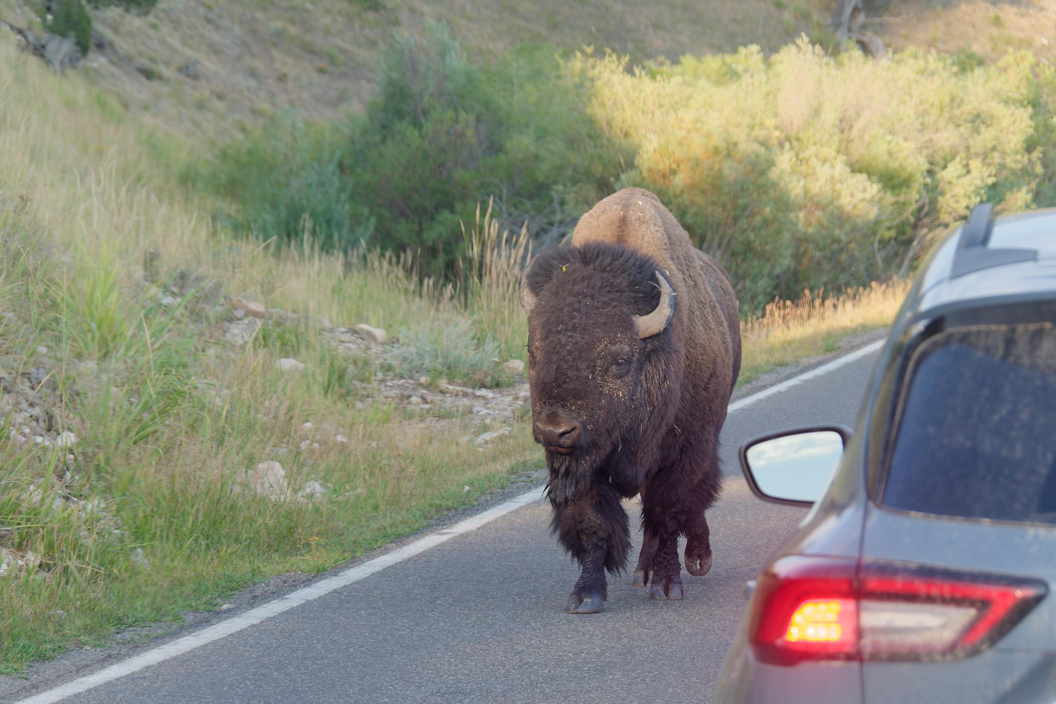 fi4bayfek5mnvvzboov cjqfuw1qizbe0wfchcn0slvskqjfcfy1zhywa9kp0nmsnk5dtb3oq5r9grlbxmnenflofk2ff 1bc3sm4gzu3yk