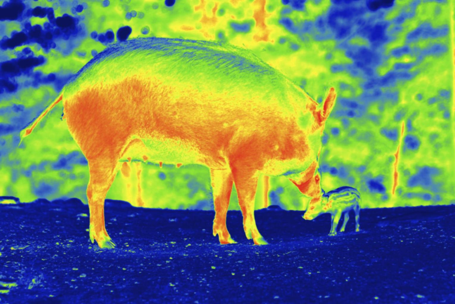 hcwg2 poodluviz6yx7yhlmaukvflfbfzszajjhwgl76n2mrbgd9akiuitvqsye5mjbzs oiujbe7tuncmxplaq8i0ivfr7tvolc1rgzbq