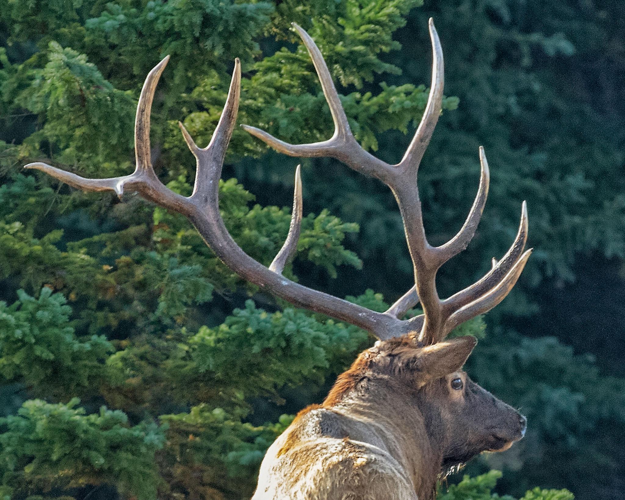 jkkucaajpc6vraeem1gkrqu9341hq4out ppx4ae0j8dbq0hsdiusxxud3ymm2ocherngd02vz65isywvnlucqp7jjnv67mi0yp8shxqig0