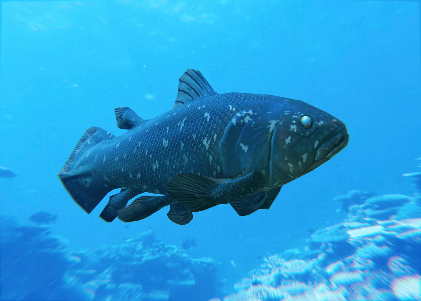 qwy3tcsdpx5f l0lrujtmgu3lvbuwgrz9lmim6aniylt6r2oxdjbwdtttk7yhba97szil ohmtwpfxfnmoqnqqolplykls0ucxaxg7ovu44