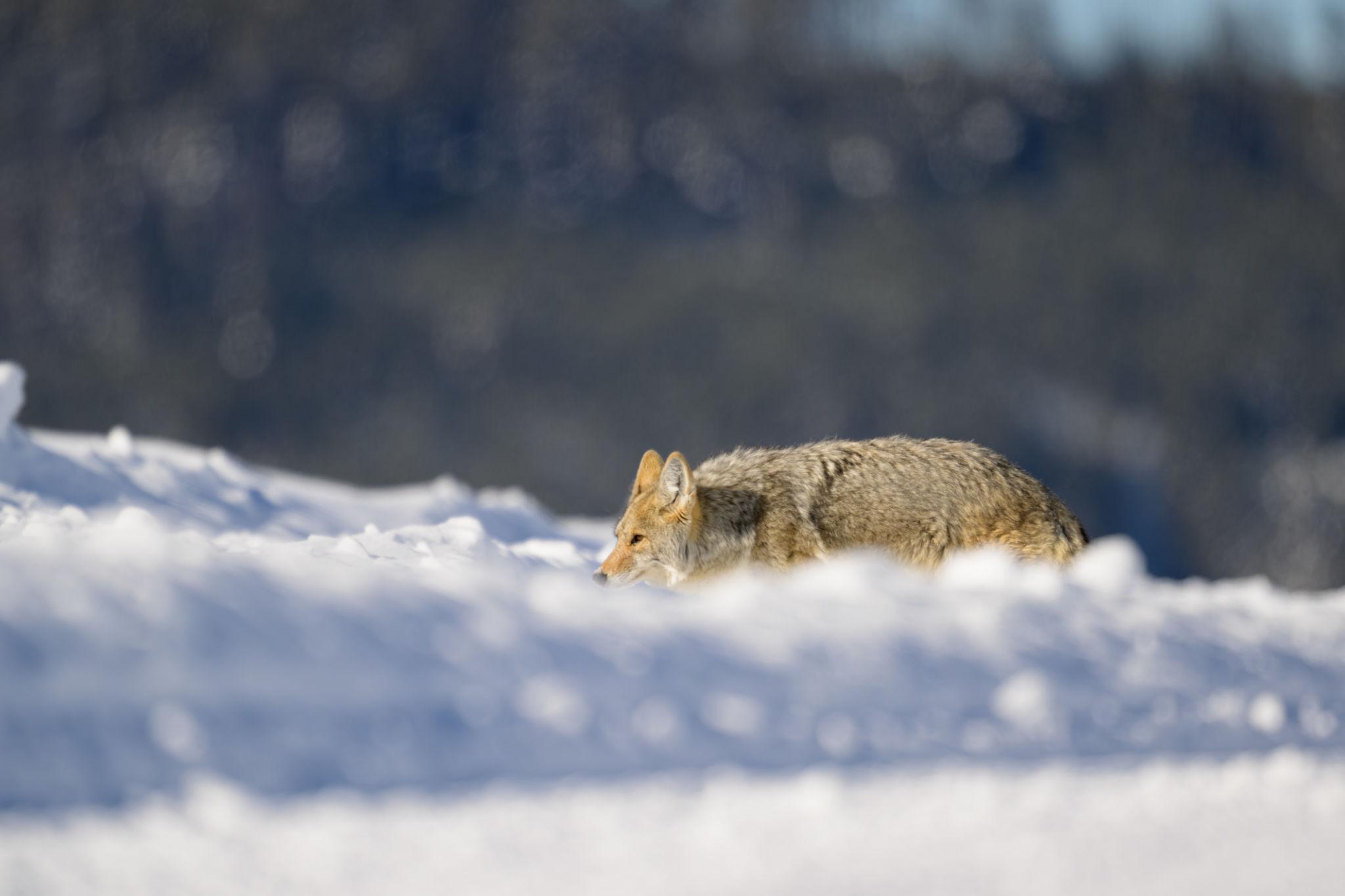 tdytuxdhmlyai9nccfgkzmbo9gii9vdw3mzytdvryyyuh8vqtw2avtpxglvwiytupq9zb 53bdlpwmkf6f ytmmb0pf2prlfd3e2dddcrx0