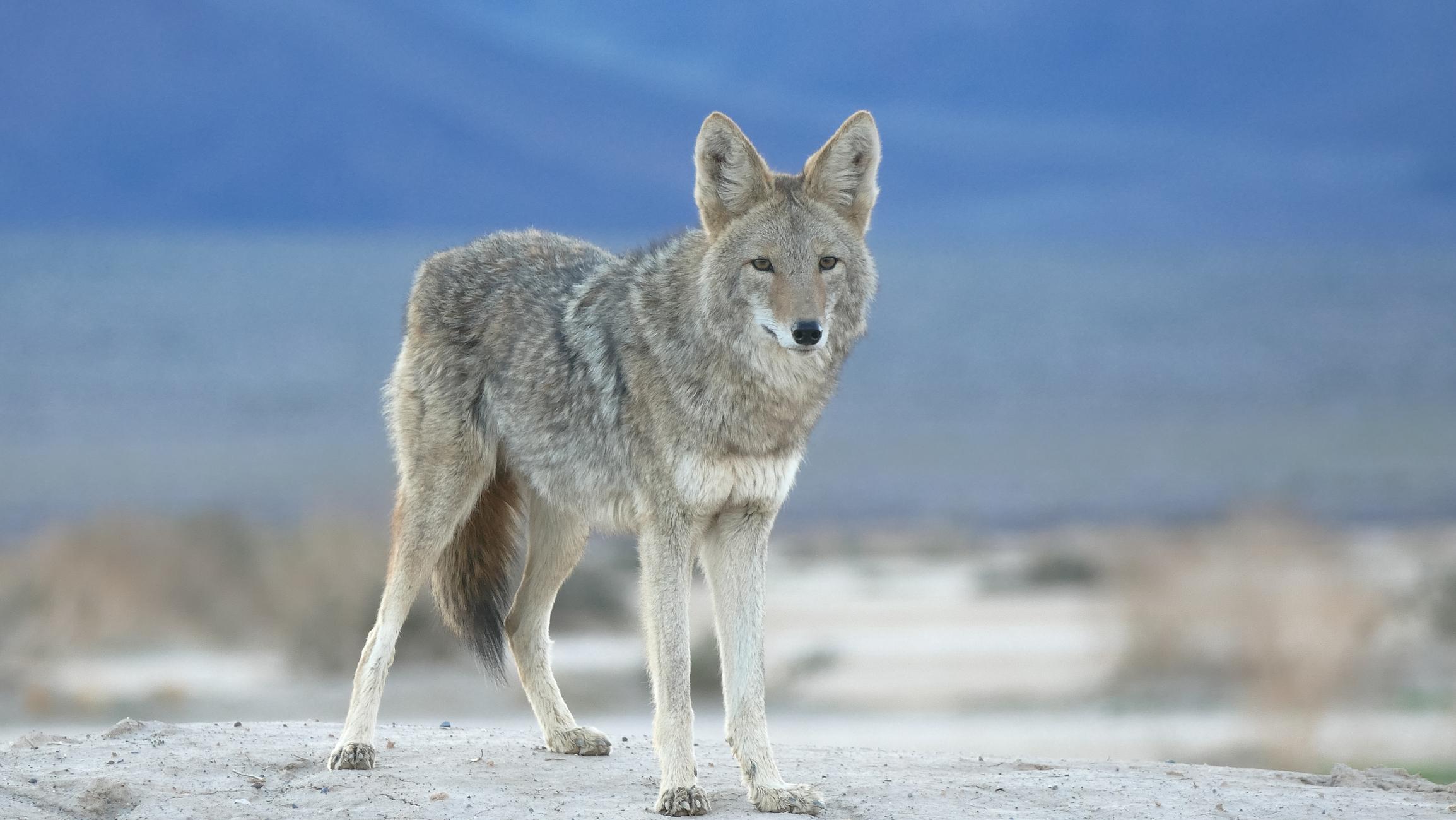 cfg8svztlkuqq9ru7mfuzbrdqnfbp5pdecl5vqrohevf27vuqswd 5dc 1xapzd41u eciibvh5 5p8i19cgito9owy5shftrsb cbuf7y