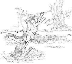 Remembering the Story of Val Plumwood: The Woman Who Survived a Crocodile’s Death Roll download