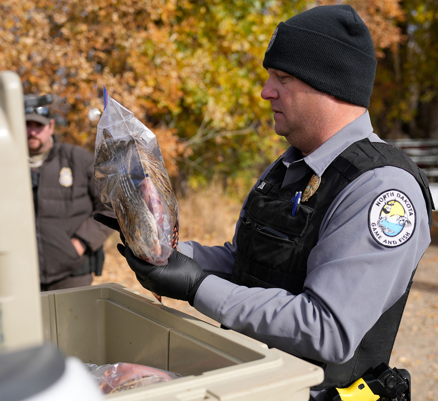 enforcement main