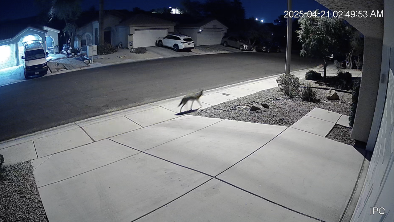 ewscripps.brightspotcdn