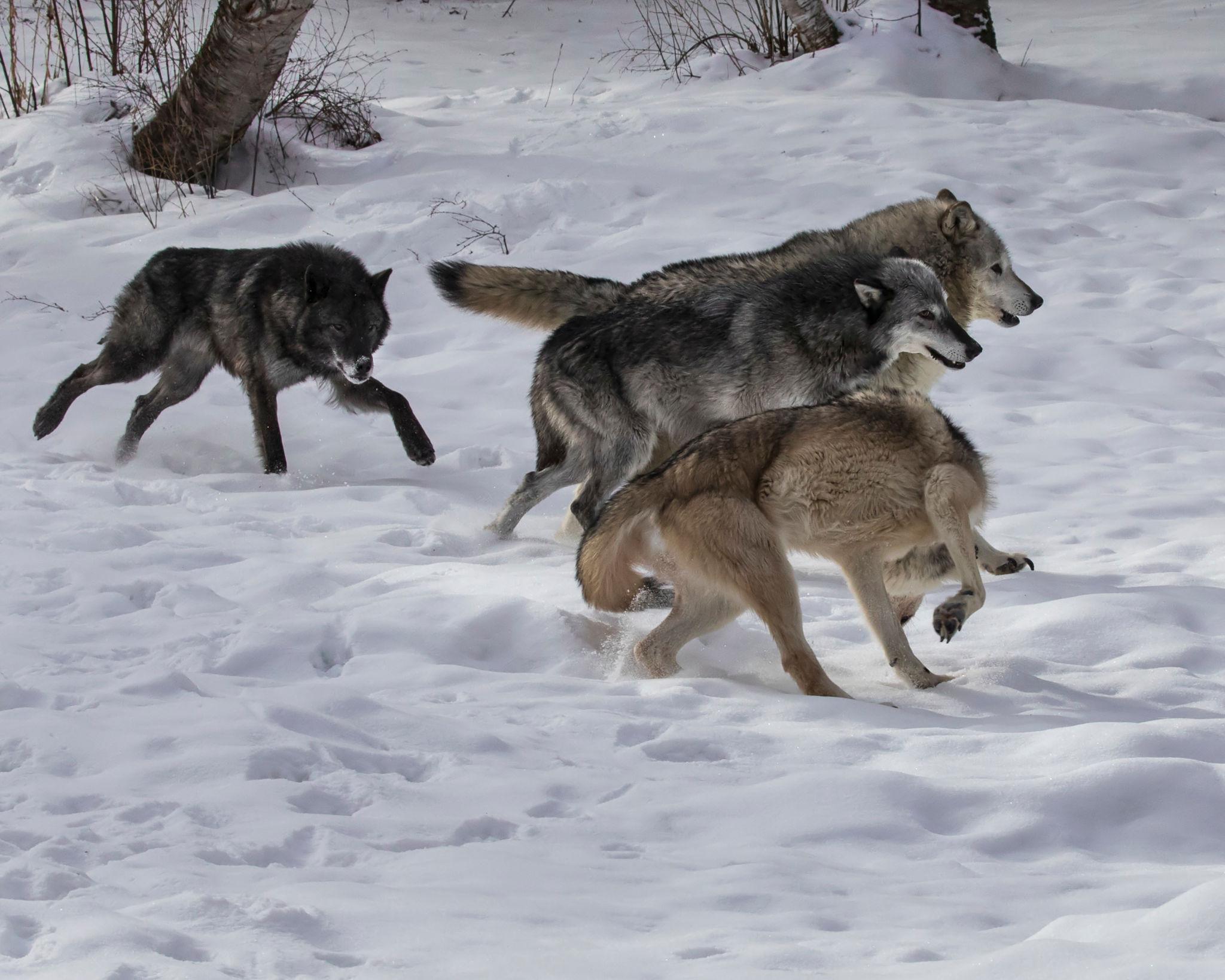 lg2 9gvalmwxajs6 szaxxd8 2qktg7jmgrsjlcwop1buyv muri0glbgf zrhif34uwlpvjxzfkejrwjfnjzuy6pzvfoyh2m4 sgeq3nhg