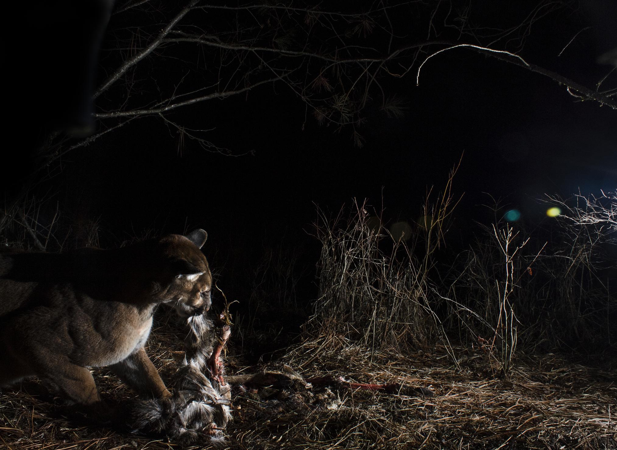 oyvkobyci8j21tk 2nfkhyqxgnugimzsm6rngokmzjcroxmewhgdhd5qyz3fzni28sovxu urhuu0geqam4olkvw5vbj9drzs1pocu5ohbk