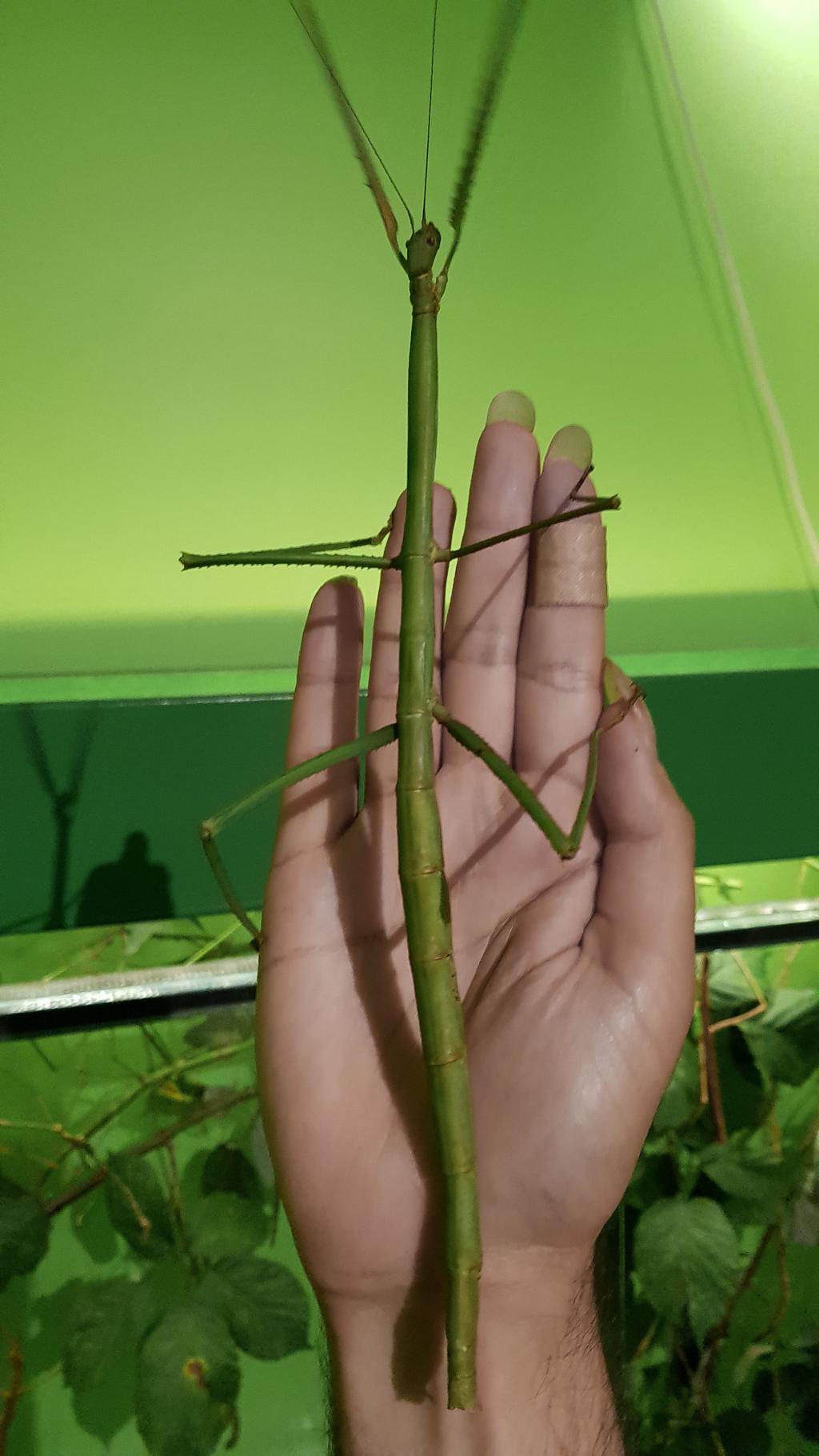 wxqebp6tjufdfixfonn pdlrbh8zzi6cmqmw0naya77l3dio55z2aqy7juxpqn6okznd9lcrt5ble6a6tzfydkxx4a19geo w4tqqoku7cq