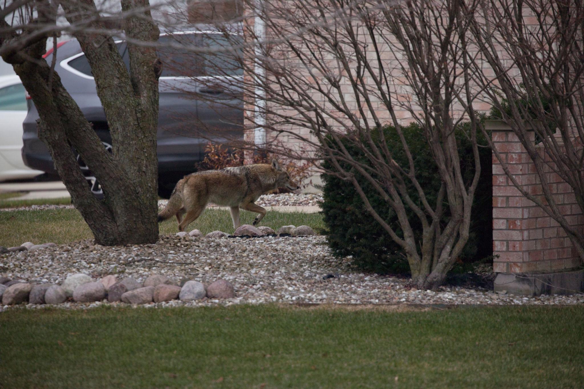  ymgjjppev7swelpr7ehcdnfccj2hz8uzav85slp0dai45ury65yek1ngf7to4hngxgjl5fuuo5hp2hmsydet0x hh8giyugf6t0gyqioe