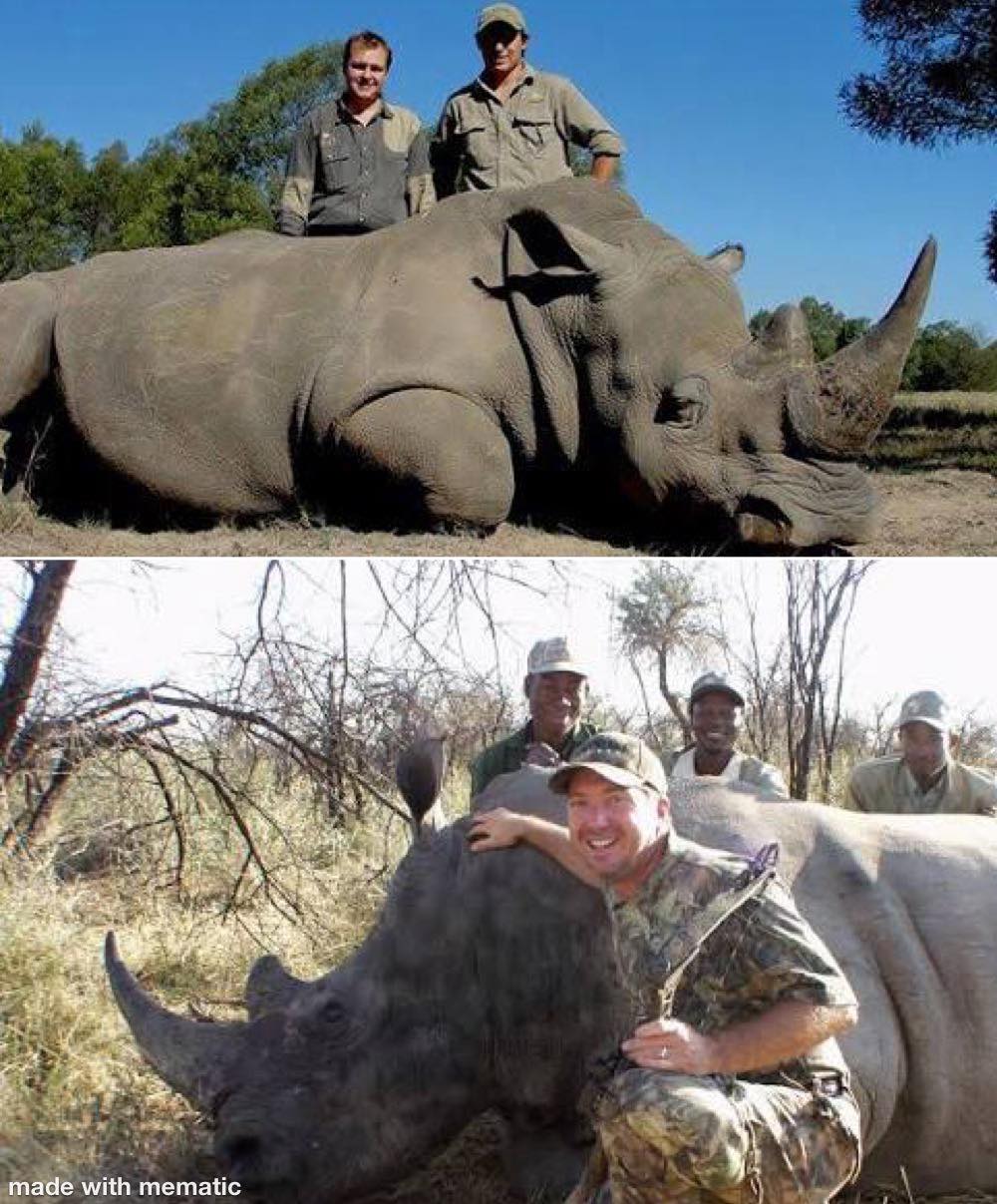 The $350,000 Black Rhino Hunt That Sparked Outrage—And the Part Most People Ignore 701841603 1537176184430649 3997341224442180252 n