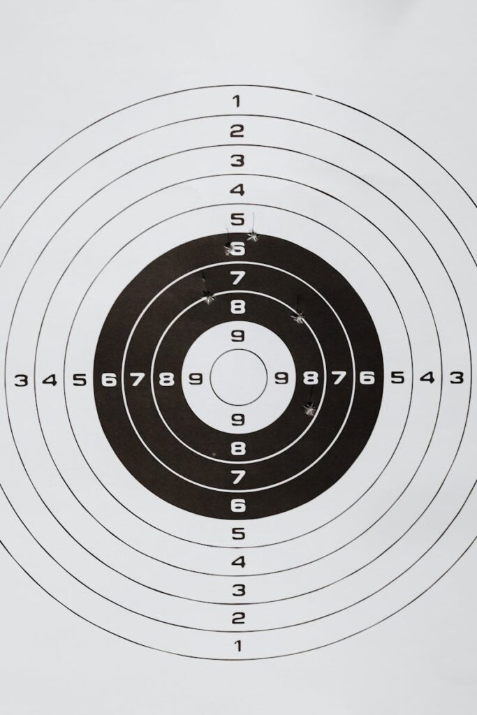 Detailed image of a shooting range paper target showing multiple rings and numbers.