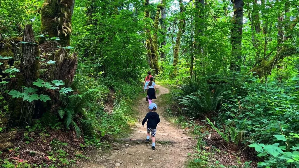 0d7d6c54 6ec7 41ed a2f6 1ad112039442 hike3