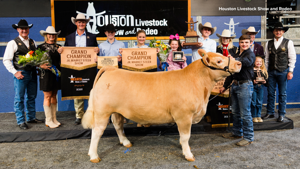 Grand Champion Steer Sells for Record $1.5 Million at 2026 Houston Livestock Show and Rodeo 18747265 grand champion steer 2026 hlsr with credit img