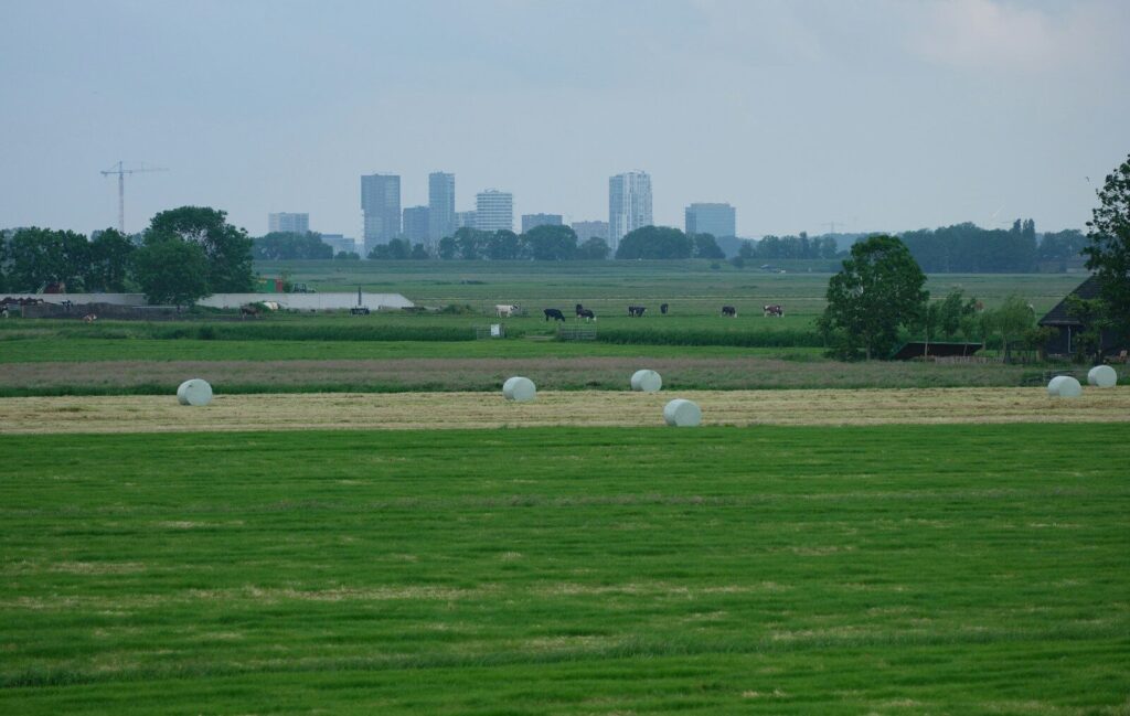 HOA Sues Farmer for "Destroying Property" by Hosting Events, Running Equipment, and Being a Nuisance bales of hay in a field with a city in the background