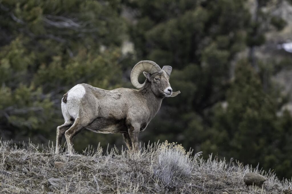 ddscwj6bcerpdr1zsqdz3wzh1 kuktvah4zawy5 f23ufdnbc8zt4iakpe0qzyrhkdo1fbsi1zxqbcodlrzpcfkpr fdhr x8z h8oe bwu