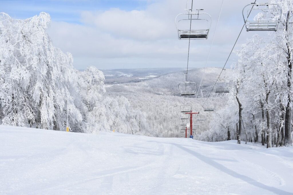 dsc 0051 8 donna himes