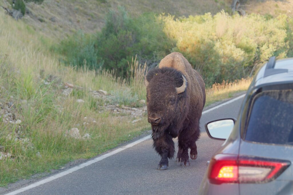 fi4bayfek5mnvvzboov cjqfuw1qizbe0wfchcn0slvskqjfcfy1zhywa9kp0nmsnk5dtb3oq5r9grlbxmnenflofk2ff 1bc3sm4gzu3yk