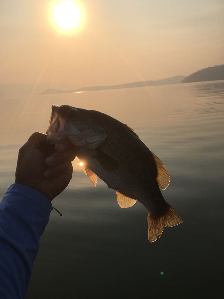 best bass lakes in america 5 derwin chang