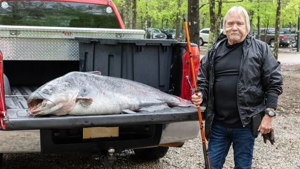 f9a88a85 66cf 4d61 87fe 7056a1e65409 hugecatfish