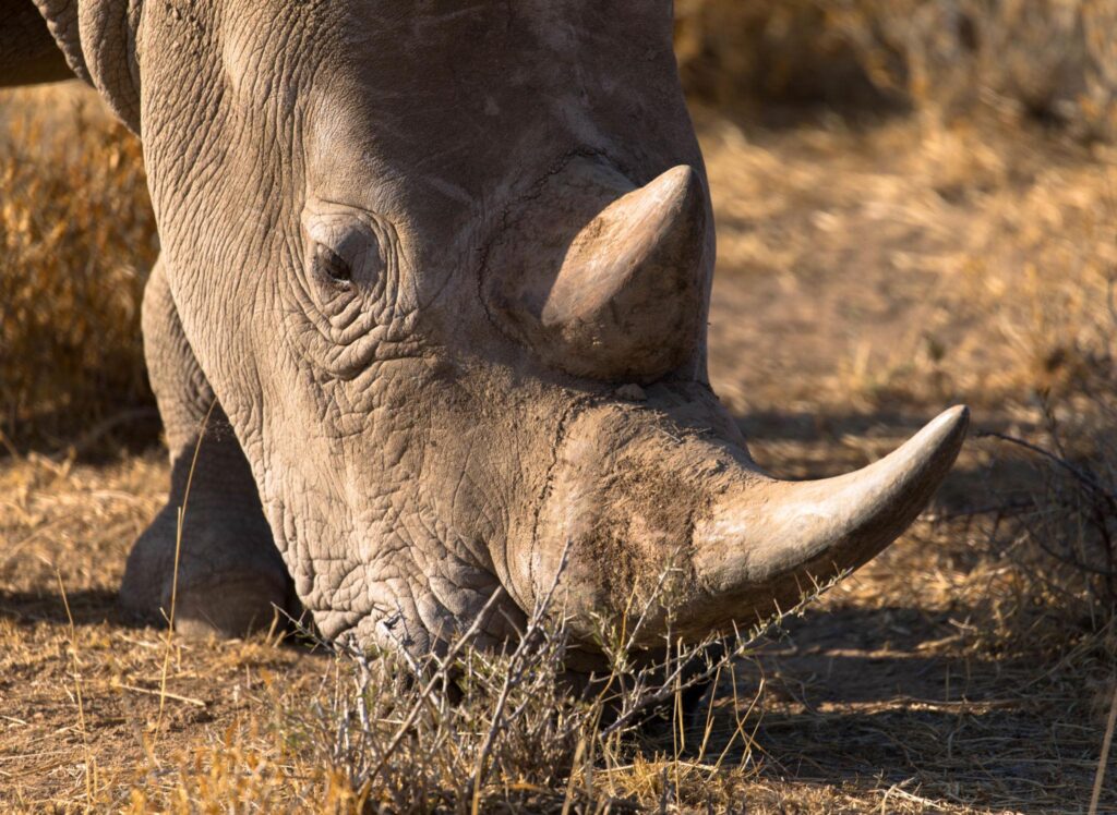 kkgzxcgwf76kxb sj200b 6t68wnwzkhw0bjuxkzh vbagyx80xkr9ufndjkbaym9y3os o4hw83sfecwzaiqcwbn8uj2j7pvtnkauinqos