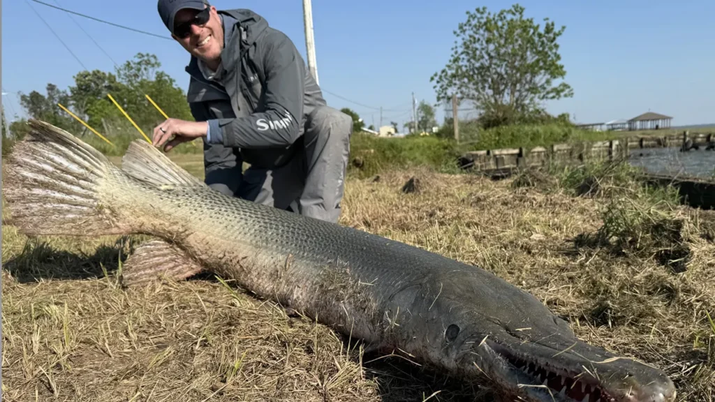 massive fish possible world record