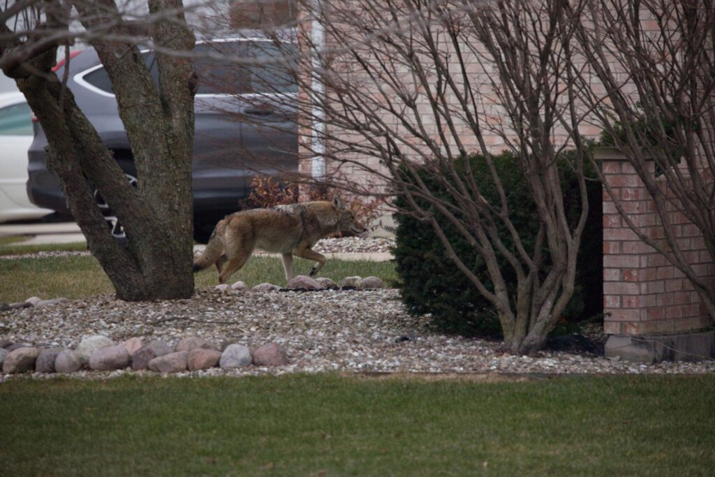 ymgjjppev7swelpr7ehcdnfccj2hz8uzav85slp0dai45ury65yek1ngf7to4hngxgjl5fuuo5hp2hmsydet0x hh8giyugf6t0gyqioe