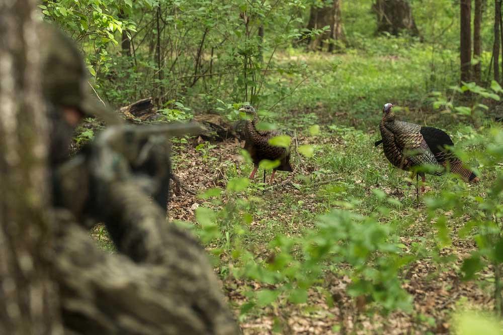 3 Year Old on Youth/Mentor Hunt Shoots 2 Other Hunters After Mistaking Them for a Turkey, One a 7 year Old, in Wisconsin - Sparks Safety Concerns Over Mentor Hunting Programs 7qdr4bnqq3 hnuj6u0dunj61di03ffddm7d82baufnzznkelu1dcbpnnjed1epmu x eye5nkcq1d8xkfbeb1ybrsixlv3hjz1q4h0stec ixvfqjeacycyrbe7k1n m3t6o2opddsf3jtmk6z31wob 7ton olbptpeggmxo7e