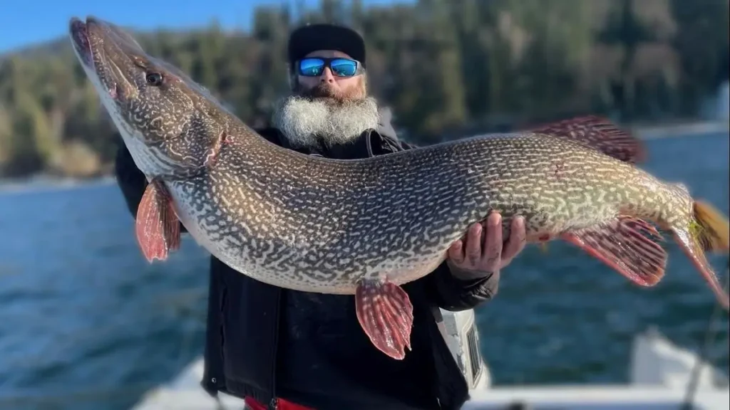 hayden lake record northern pike march 21 2023