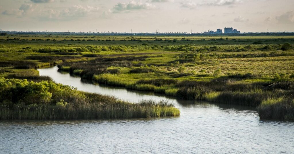 The Texas Killing Fields: A Dark Legacy Reignited by a New Arrest tx tnc tcpp cleanup