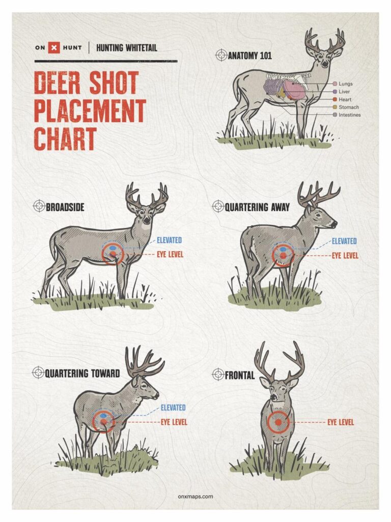 Where You Aim Matters Most: The Best Shot Placement for Whitetail Deer ycysxldzhx7vhwrnchtw06iiodgm1lxkcvidrdya2fkcyzu8rldpdejaaqijkhsyszxlpcuu l9tgqrinwgle5zgxatnkw2qdoaaw16jcb1crc7k1esz newm vflxyvv4 wedo9b 5dbe5flnrxjibw3 wulgm8dhegkkwluk