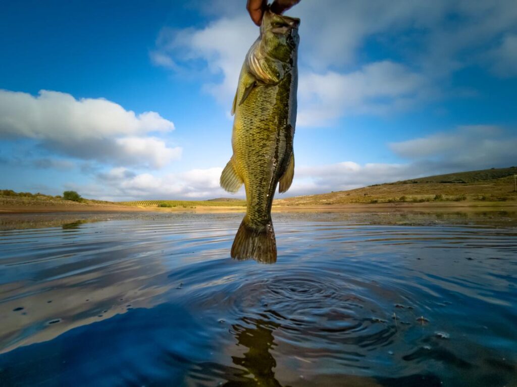 ikpyfs3spnqqtaghcsq5gzupqhkoqiu jsnal9yv6f6ytqps1clbab4r ddq6kkppmqdl7uakjp4hjwzqneb2qmix90jmfjresgtfifayvcu9ejxhgduv x fm60b5rfrq2gjpmgg omp6c14wjtzhxzugfhgihqtjzyl1fxvqa89xdwmkrpkcsh6rp7xrj1