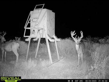 Rancher Says Mystery Vehicle Keeps Showing Up During Deer Season at 3 A.M.—Now Neighbors Are Asking Questions a24lnvzzuov21yoxpaljivozhnjcos6bhx8vz4jkuexbkfby tfph8 kfuqj5wqn9jar4zoogb2kivx8a6alybig96iqmwb67vhcr1y36mr774zg er1e5lv5g67wtg32zu6ytk3zkn1xuzw3oq7b0boxaljyr qhric23jftu