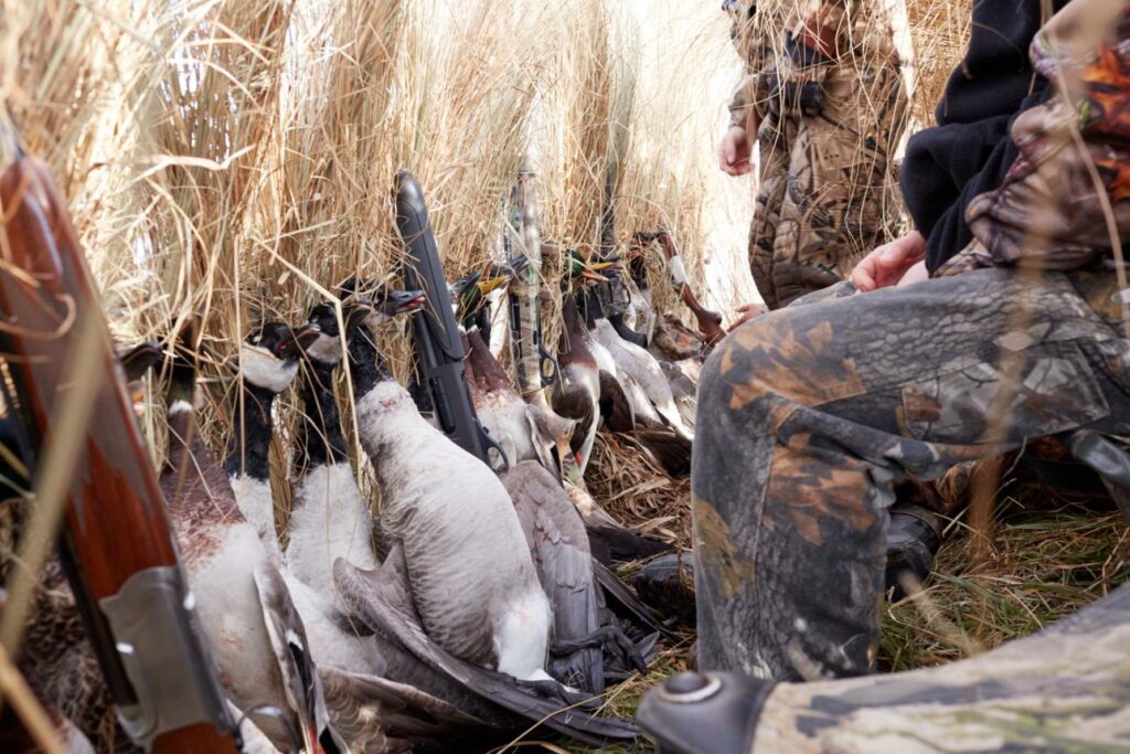 Montana Hunters Accused of Killing and Stockpiling 223 Ducks - Face Felony Charges llkajwfzenkx ojib wzoi3dfetrnokgkflhd7l3bs8mcqjdv0fsbr udoktsbdb5we1cjnvhuwkirks9x xdpofre87zrhu8dlxdj3jm6loztzr2zhdesmaeakfh6phsedbgzost9wxjassywcet1ib a7kefdxidbz0pfzduff0rcbsixxxctvsbespa7n