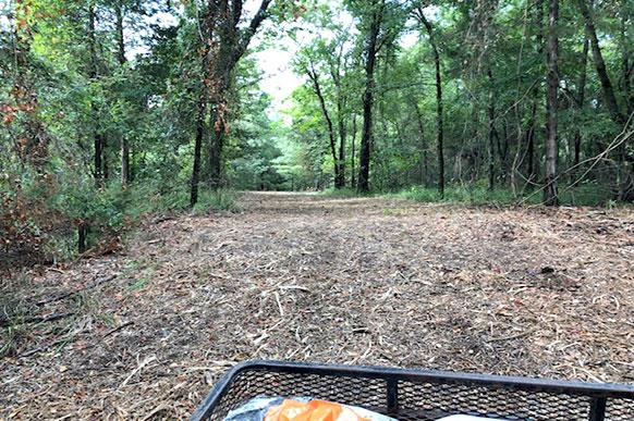 Texas Hunter Kept Hearing ATV Noise on His Property—Then Trail Cameras Revealed Why lr3dp4t53wau57fewm4gsfo0o hlzrpj2l4thwvlnylfmyx2frv7ig0jjfztjskwbspp1h kt67q9jm lnezhz2hqt3ux6bxnqa762 26kpywbzo2h7osnah4jukqhkdi0400 jjqldoup50nqvt6uct7qusa jpcmgr8b0jke