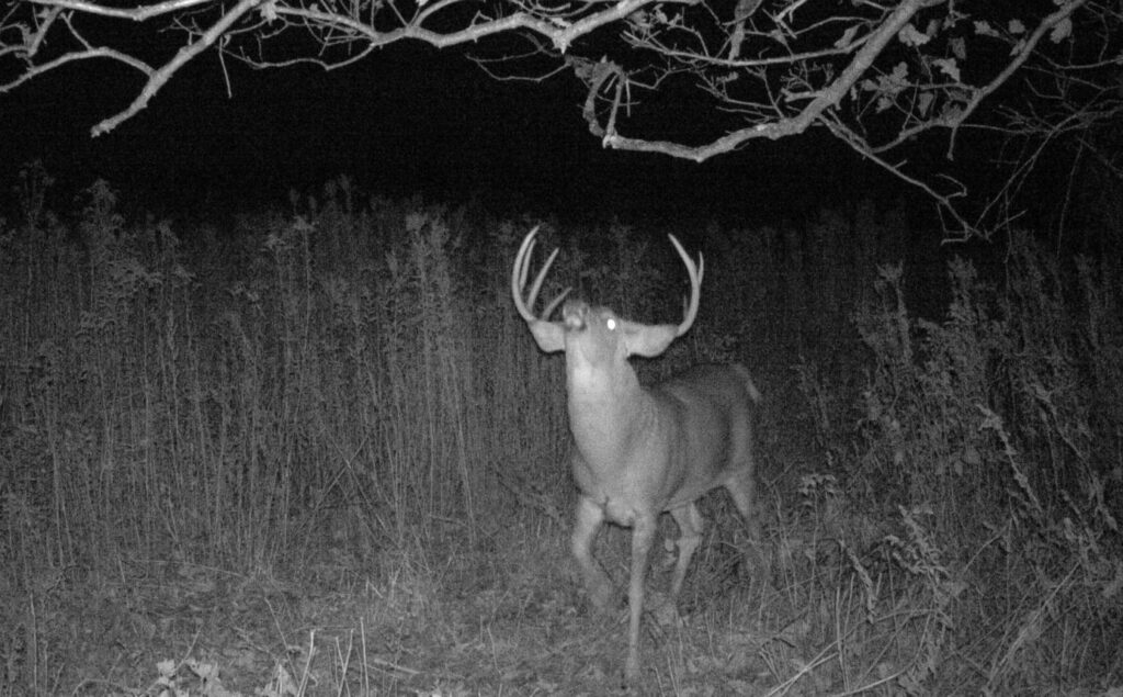 Hunter Kept Finding His Trail Camera Moved—Then He Realized Someone Was Visiting at Night xkhy47 t81y0ail9hohisxcmky5h1l40yervxlqrdkvybvcyew8sxkaonqyhj hkpujpa2addq4e8nlbgdlgc v skhxhmci57i7rifcymotegqolhwksmwhfgtlm0bd7uvzufyixcixkucjgphbv9hfm9mc4dubzko5g7lonju